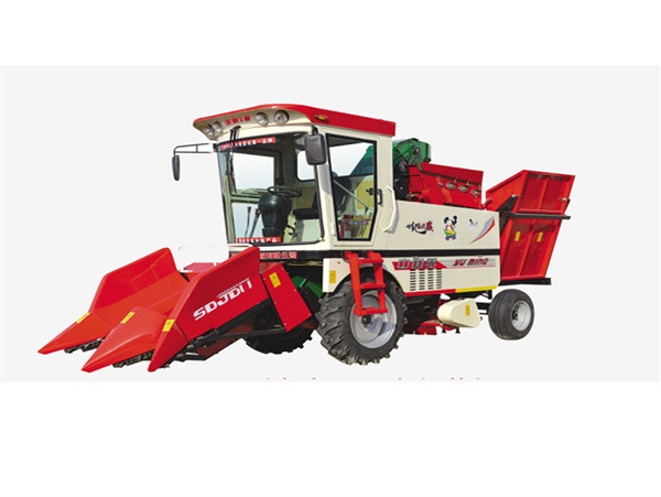 ������ϵ��